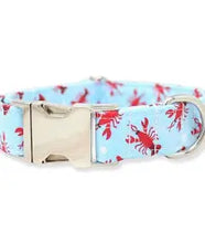 Load image into Gallery viewer, The Oxford Dog Collar
