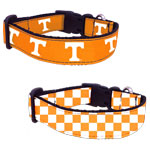 All Star Dogs Tennessee Collar