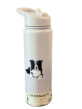 Load image into Gallery viewer, Serengeti Water Bottles