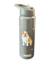 Load image into Gallery viewer, Serengeti Water Bottles