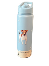 Load image into Gallery viewer, Serengeti Water Bottles