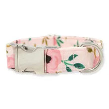 Load image into Gallery viewer, The Oxford Dog Collar