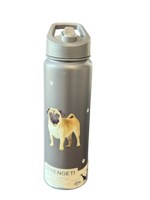 Load image into Gallery viewer, Serengeti Water Bottles