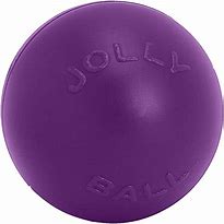 Load image into Gallery viewer, Jolly Pets Push N Play