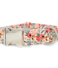 Load image into Gallery viewer, The Oxford Dog Collar