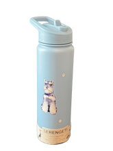 Load image into Gallery viewer, Serengeti Water Bottles
