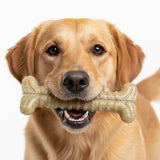 Load image into Gallery viewer, Sodapup Toughbone Nylon Chew Bone