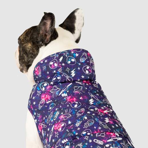 Canada Pooch Alien Glow in Dark Raincoat