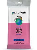 Load image into Gallery viewer, Earth Bath Wipes 30 count
