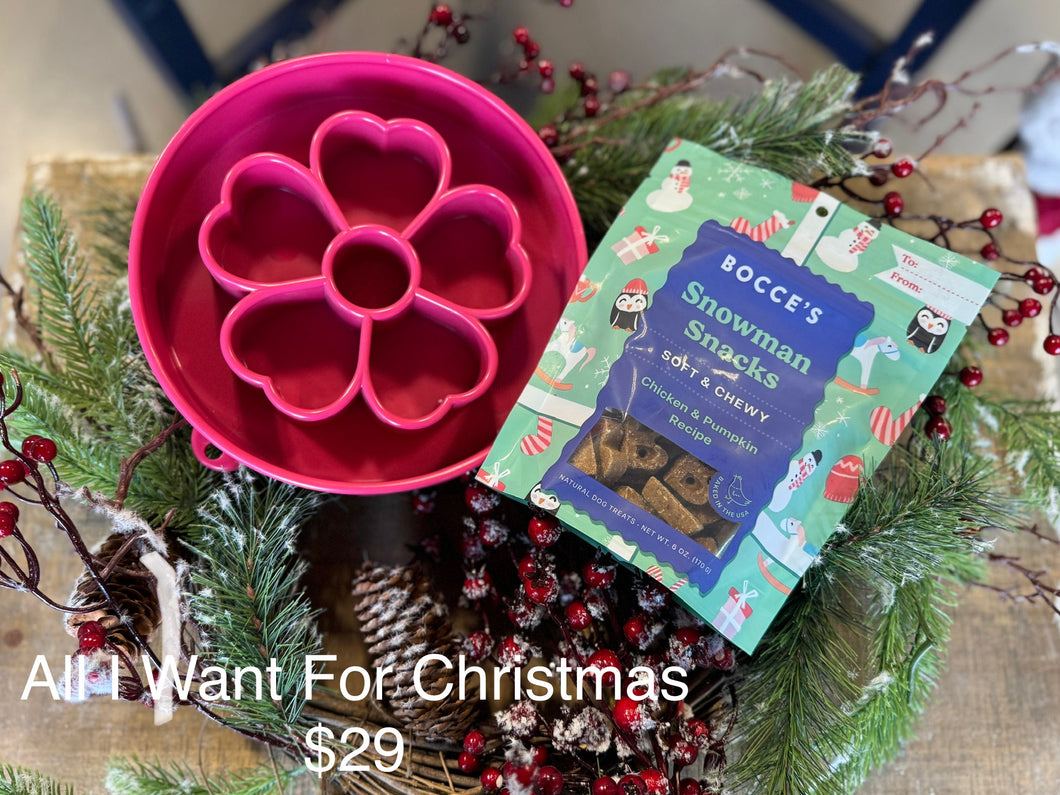 All I Want For Christmas