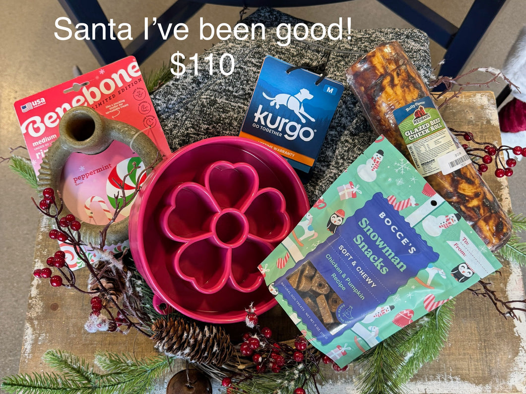 Santa I've been good!