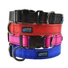 Max and Neo XL MAX Collar