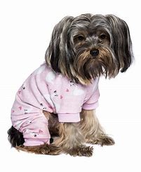 Parisian Pet Pink Swan Pajamas