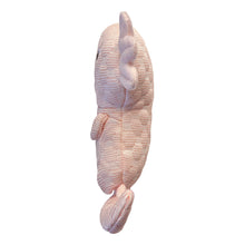 Load image into Gallery viewer, fouFit Puff Plushies - Axolotl
