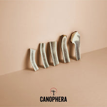 Load image into Gallery viewer, Canophera Red Deer Antler Split
