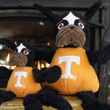 Load image into Gallery viewer, Hugglehounds Mascot Tennessee
