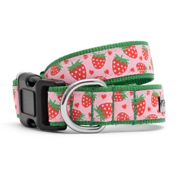 The Worthy Dog Strawberries Collar