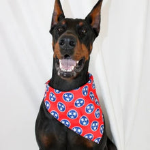Load image into Gallery viewer, Dog Bandana Co. Nashville TN Reversible Bandana
