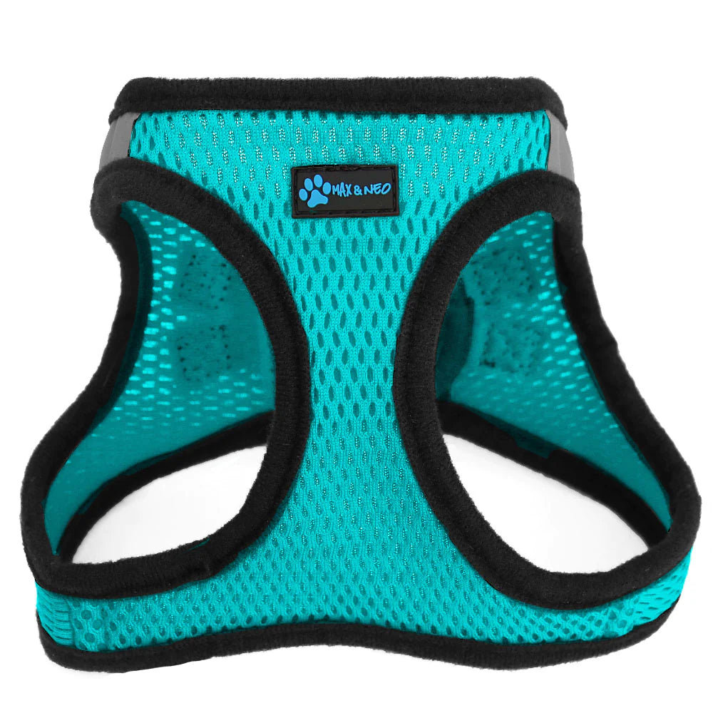 Max and Neo Nanu Harness Teal