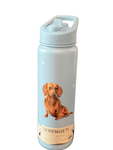 Load image into Gallery viewer, Serengeti Water Bottles
