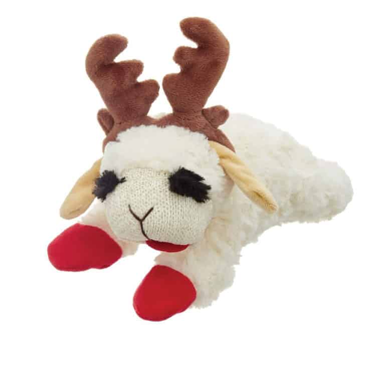 Holiday Lamb Chop w/Antlers