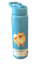 Load image into Gallery viewer, Serengeti Water Bottles
