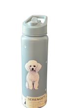 Load image into Gallery viewer, Serengeti Water Bottles
