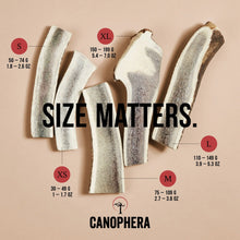 Load image into Gallery viewer, Canophera Red Deer Antler Split
