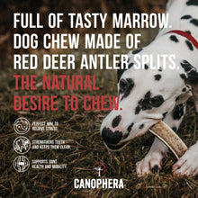 Load image into Gallery viewer, Canophera Red Deer Antler Split
