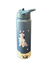 Load image into Gallery viewer, Serengeti Water Bottles
