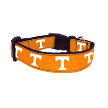 Load image into Gallery viewer, All Star Dogs TN Collar
