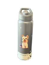 Load image into Gallery viewer, Serengeti Water Bottles
