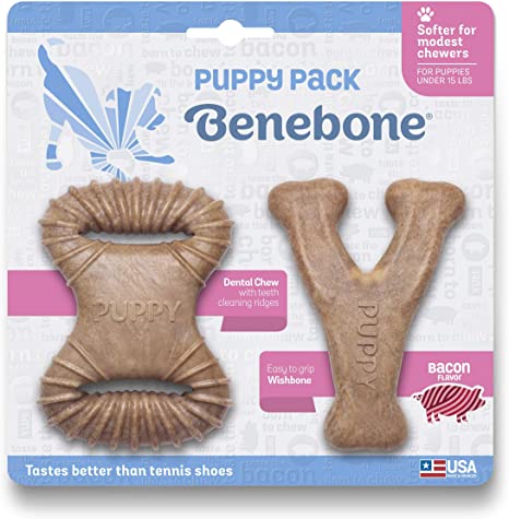 Benebone Puppy 2 pk Dental Chew and Wishbone