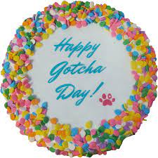 K9 Granola Happy Gotcha Day Cake