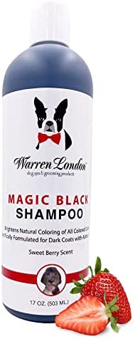 Magic Black Shampoo