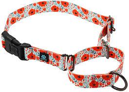 Max and Neo Martingale Poppies Collar