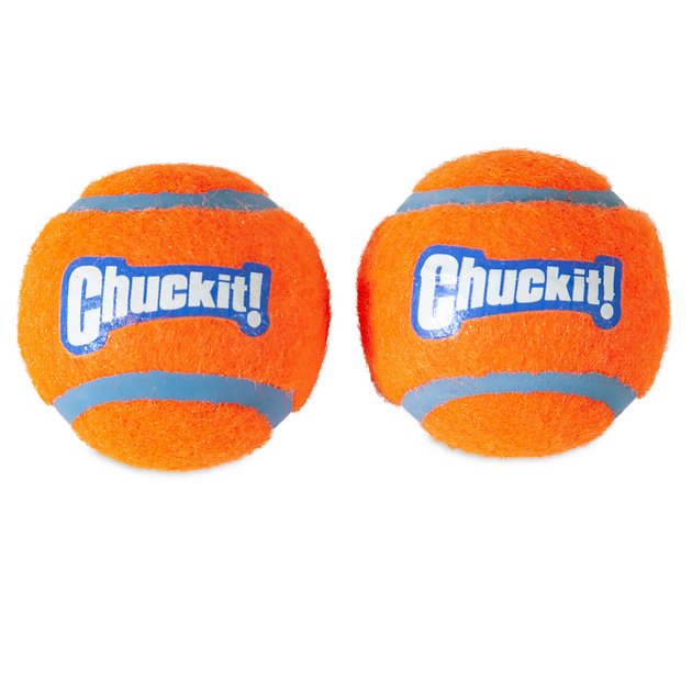 Chuckit 2 pk tennis ball