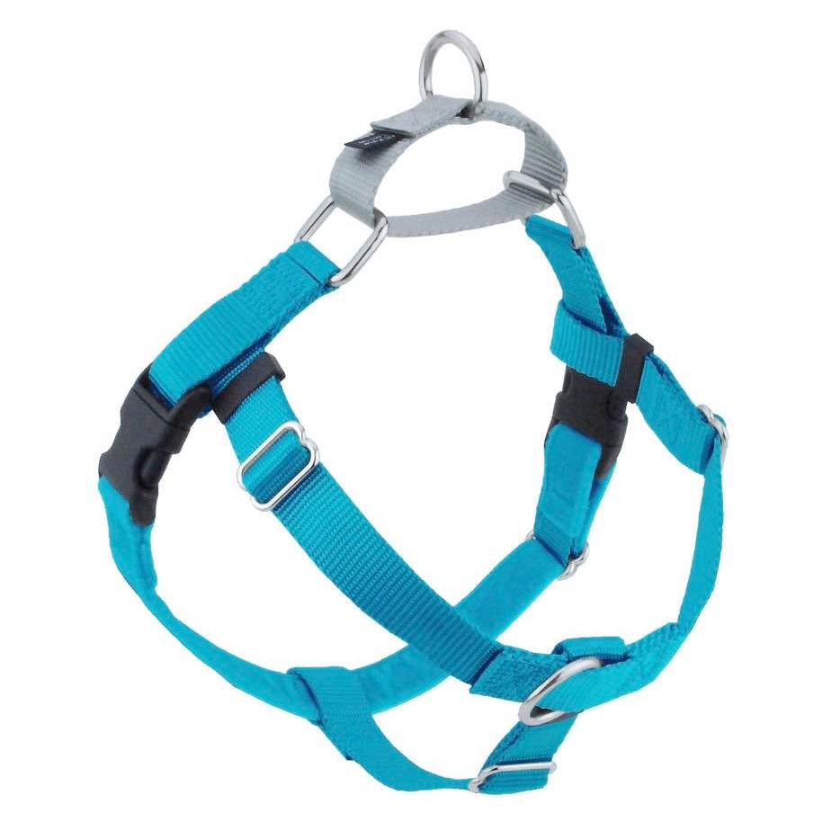 Freedom Harness Turquoise freedom harness & leash