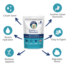 Under the Weather Chicken and Rice 6oz