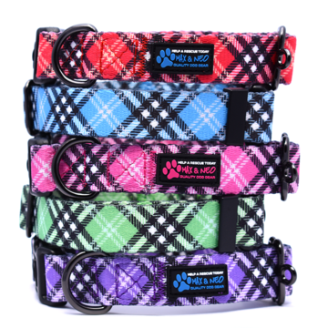Max and Neo Collar- Plaid- Small