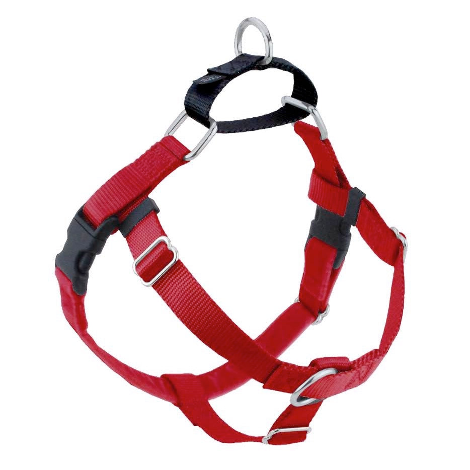 Freedom Harness Red harness & leash