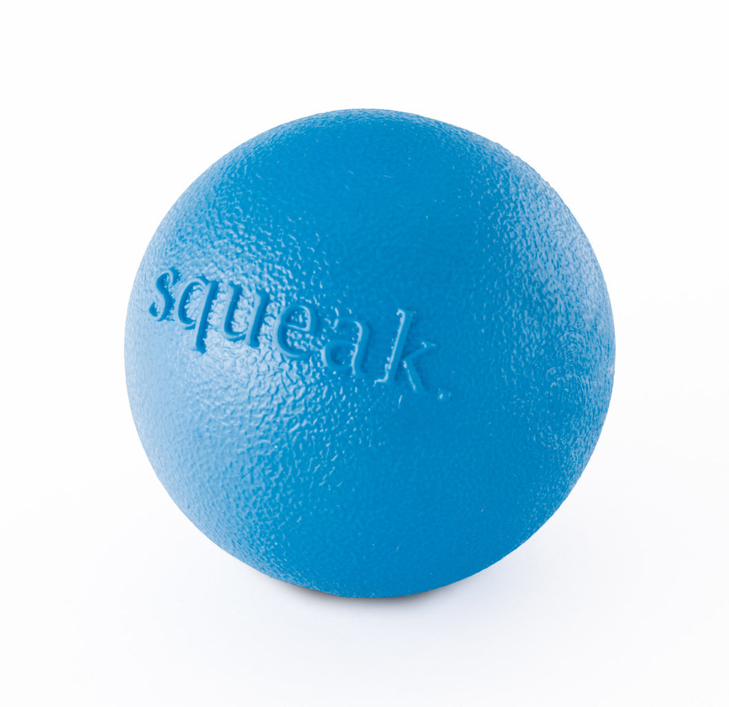Outward Hound Orbee-Tuff Squeak Ball Toy