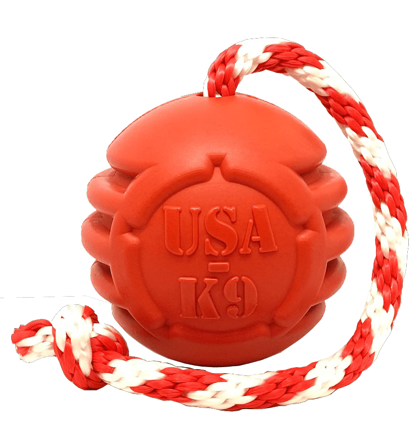 Sodapup Stars and Stripes Durable Reward Toy - Large